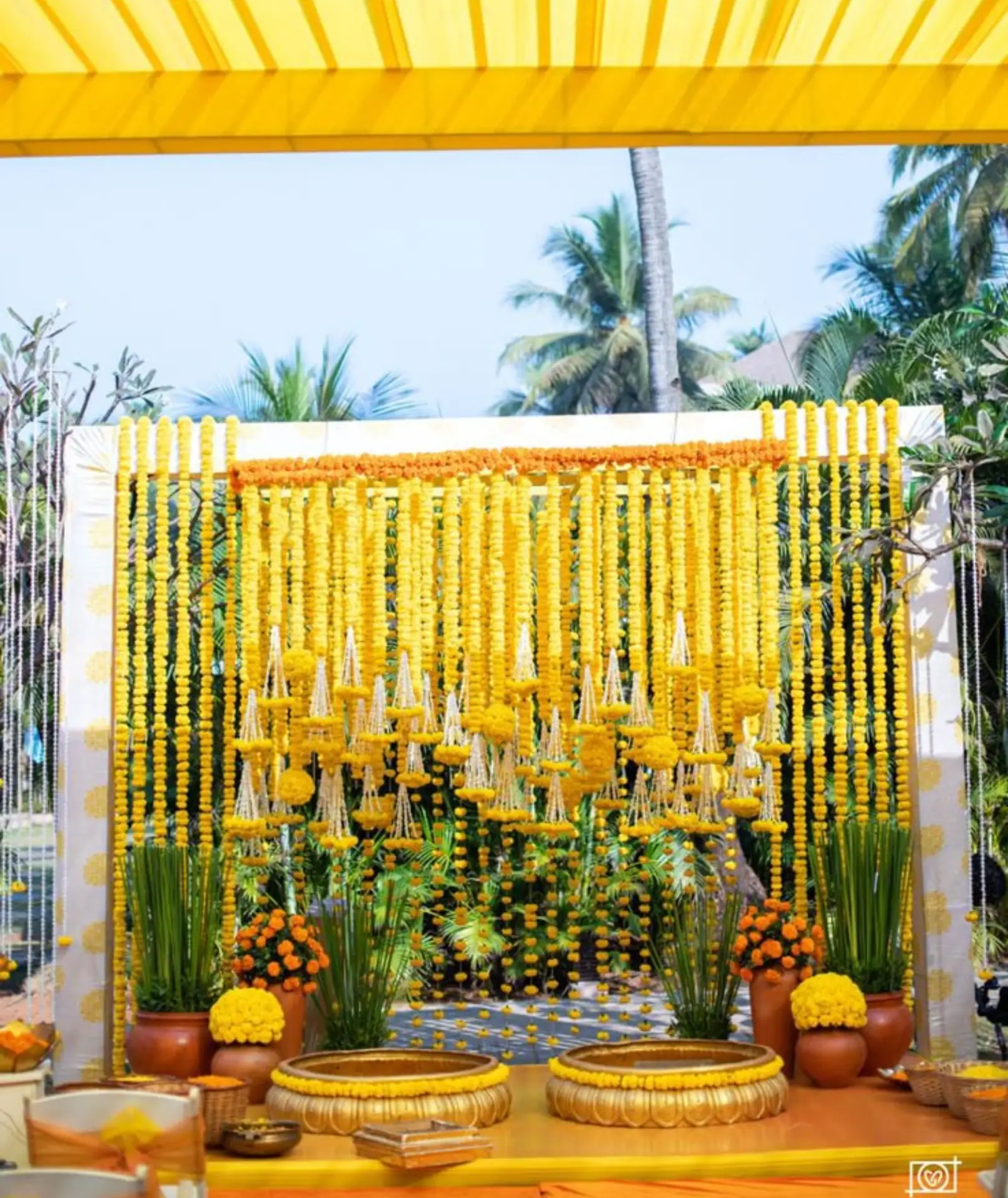 haldi1