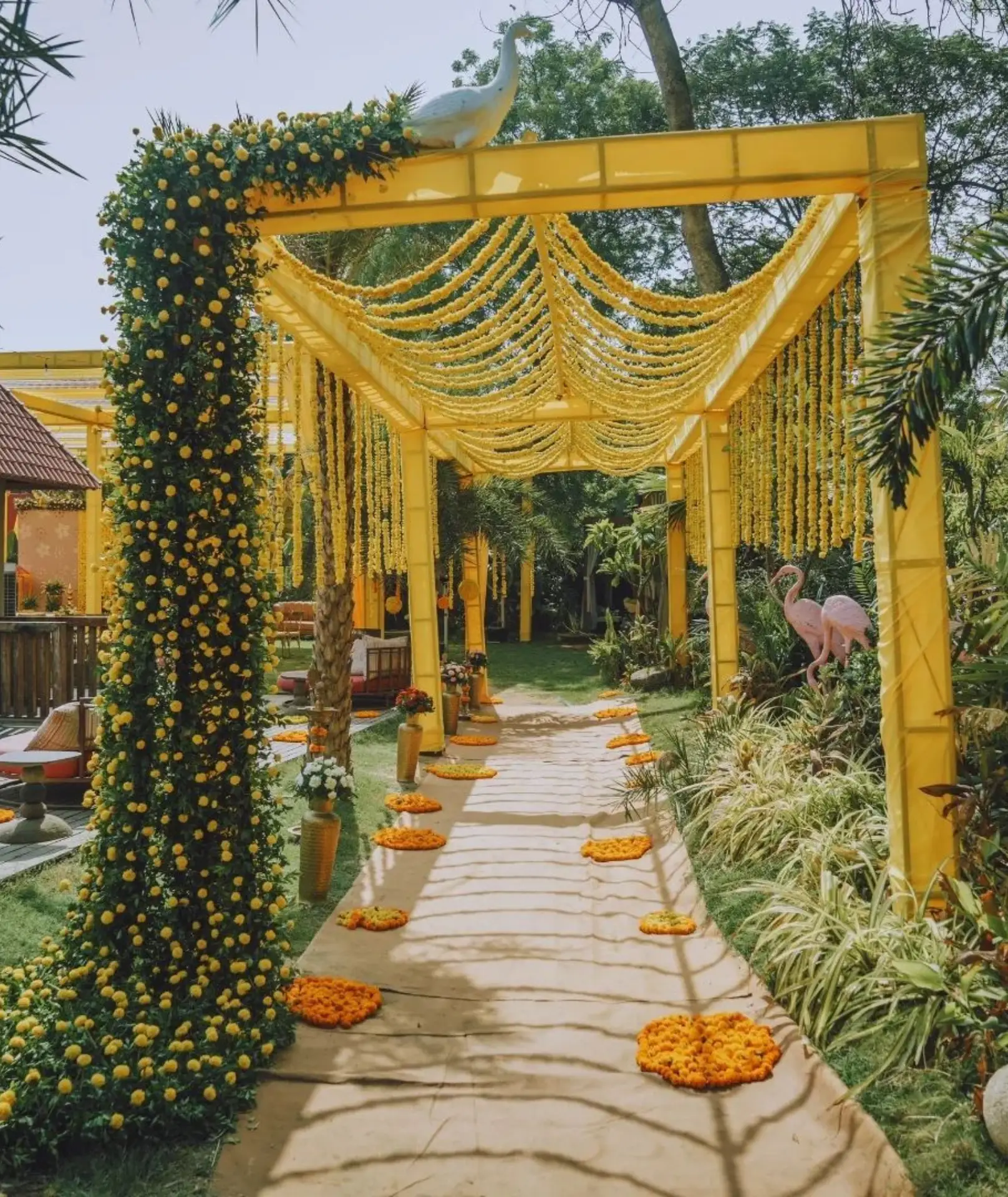 haldi2