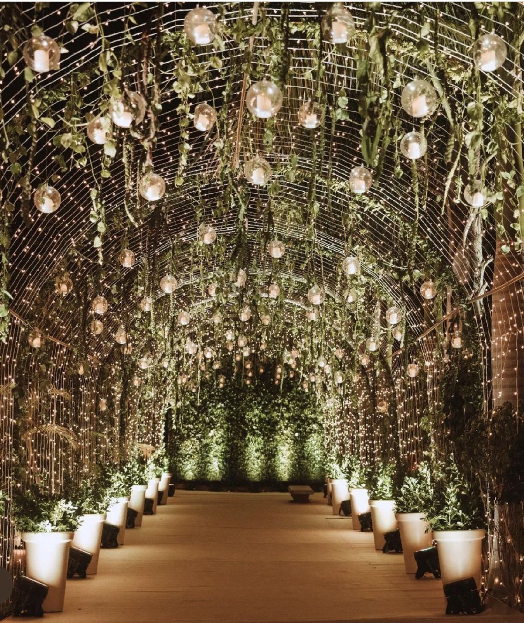 reception2